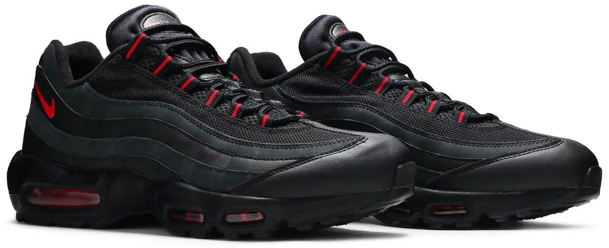 Max 95