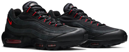 Max 95